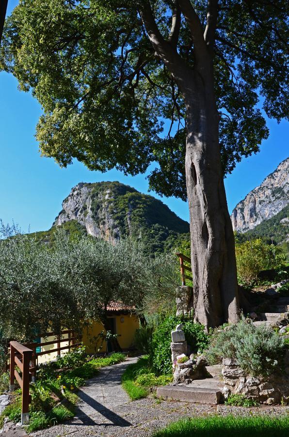 Hotel Garni Delle Rose Ceniga Exterior foto